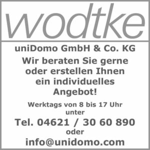 Wodtke HiFire 50 air+ Kaminofen 7 kW mit Speicher-Modul Art. Nr: 087 610